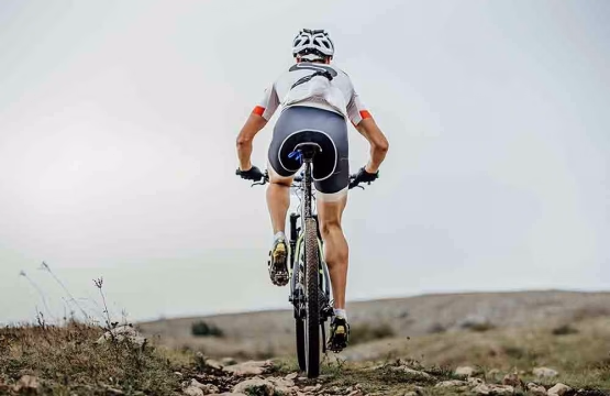 Training Bike - 15 dias